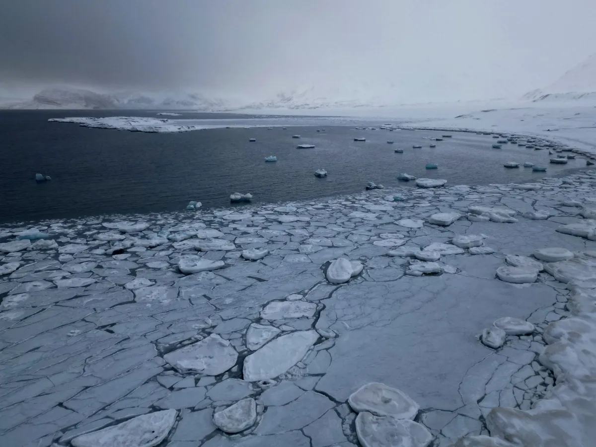 با ادامه بحران آب و هوا، قطب شمال گرم ترین سال از سال 1900 را می بیند