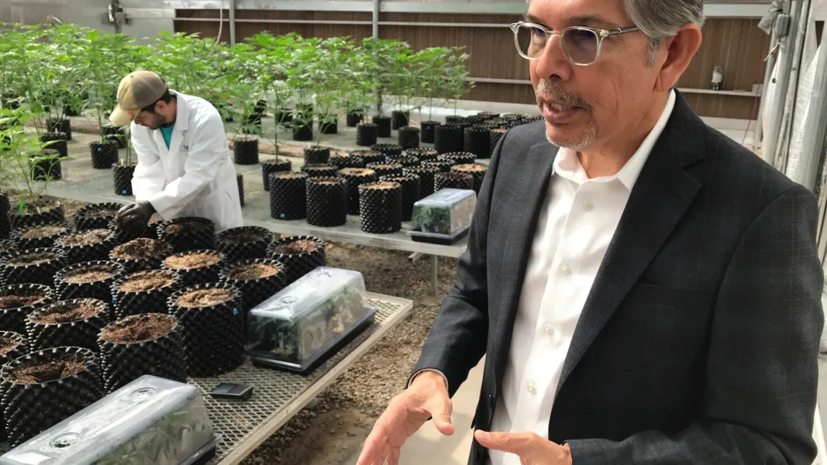 دوک رودریگز، کارآفرین حشیش، به رقابت برای فرمانداری نیومکزیکو می‌پیوندد