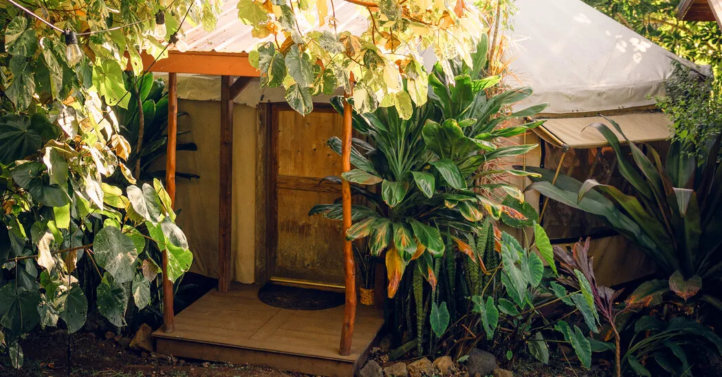 کاوش در جزیره بزرگ هاوایی با بودجه