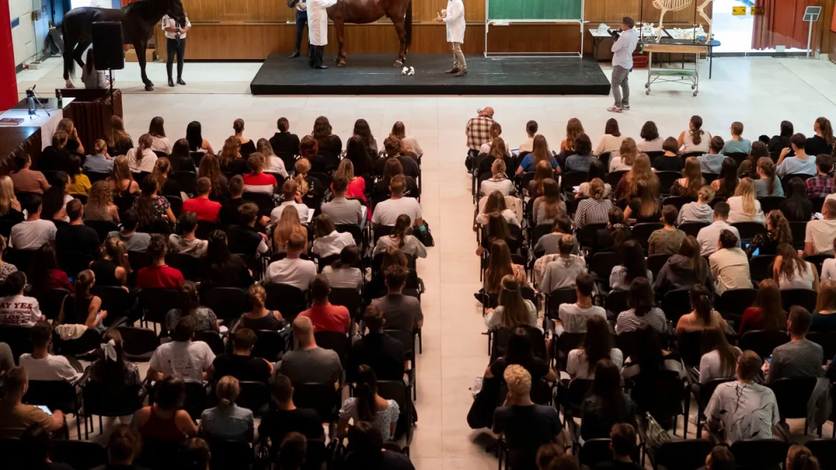 بریتانیا برای پیوستن مجدد به برنامه تبادل دانشجوی اتحادیه اروپا در گامی به سوی روابط نزدیکتر پس از برگزیت