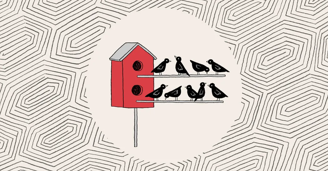 من 401 (k) خود را نقد کردم تا یک جامعه بازنشستگی فقط زنان بسازم