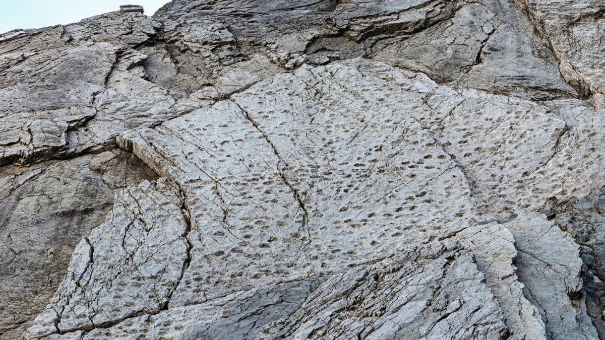 عکاس هزاران رد پای دایناسور را در نزدیکی محل برگزاری المپیک در ایتالیا پیدا کرد