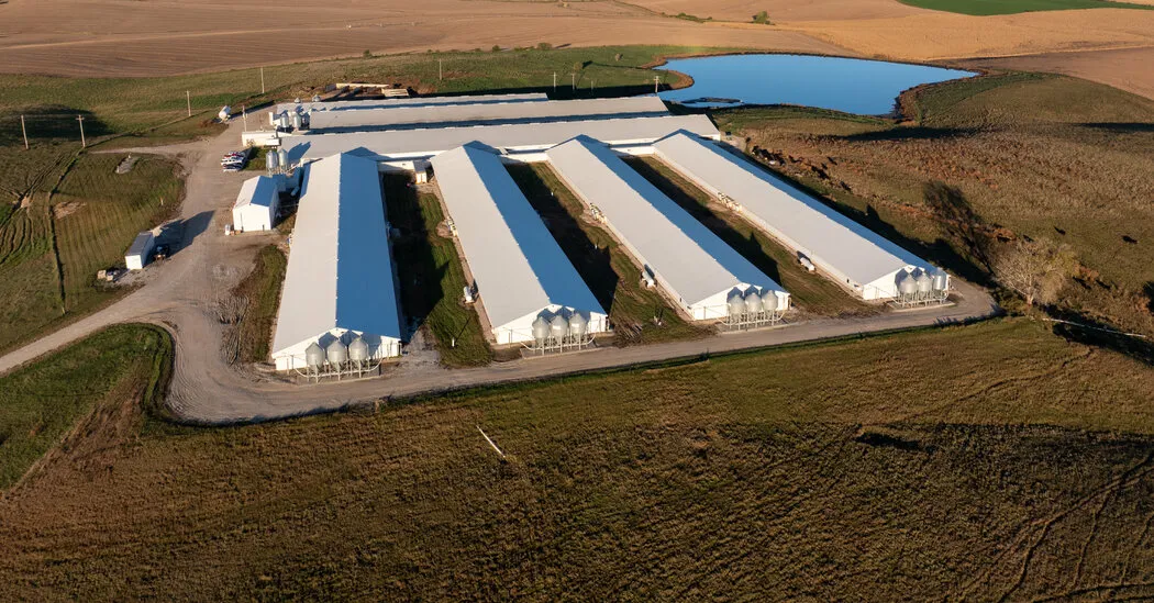 مرگ مرموز یک کارگر نوجوان در مزرعه گراز نبراسکا