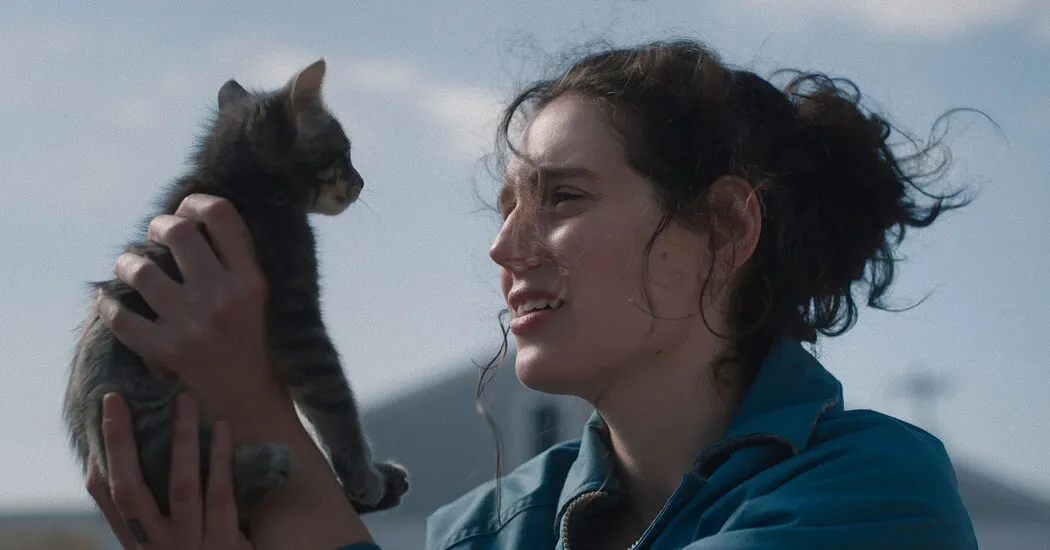 «ببخشید عزیزم»، «Lurker» و فیلم‌های بزرگ زیر رادار سال