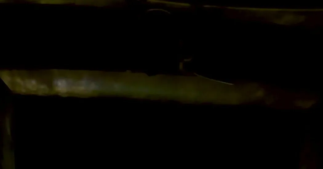 «فلوت جادویی» ناب The Met Opera شنوندگان جوان را جذب می کند