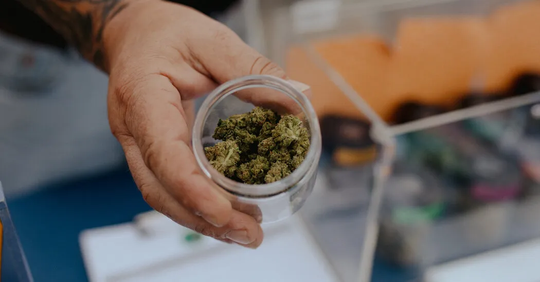 چگونه طبقه بندی جدید شاهدانه می تواند بر تحقیقات و مشاغل ماری جوانا تأثیر بگذارد