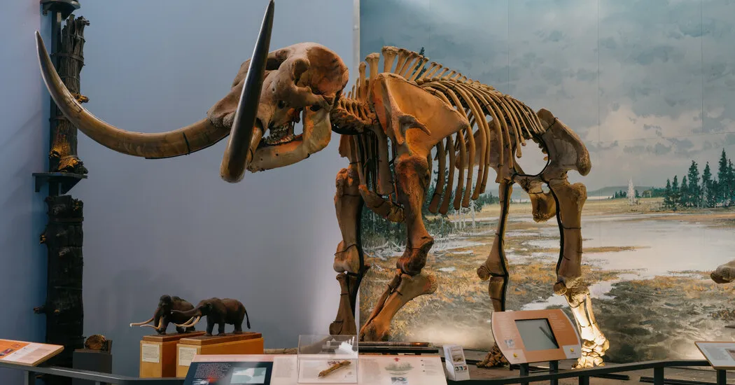 موزه زمین و مجموعه فسیلی آن با انقراض خود مبارزه می کنند