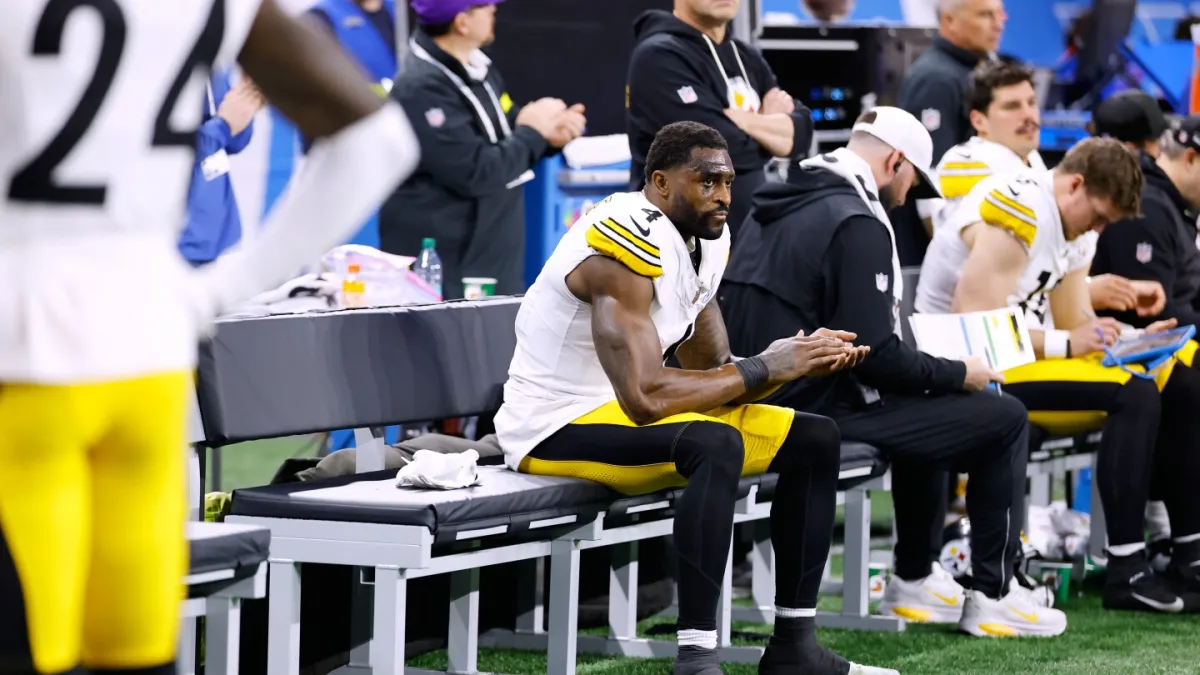 Steelers receiver DK Metcalf swipes at Lions fan leaning over railing in front row