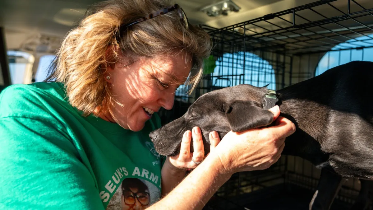 How Seuk Kim’s tragic plane crash built a volunteer army of pet rescuers