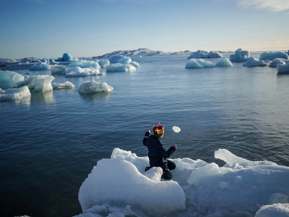 Trump says Greenland ‘essential’ for security: Could he take it by force?