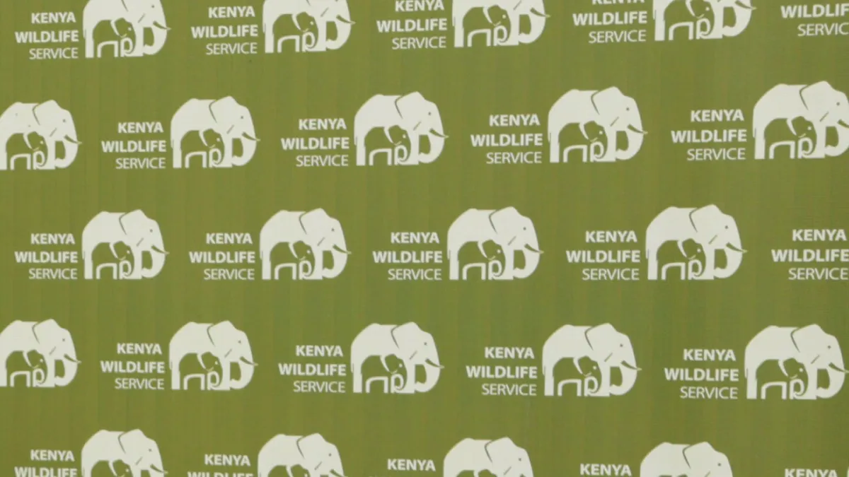 Kenyans protest after roaming elephants kill 4 people in a week