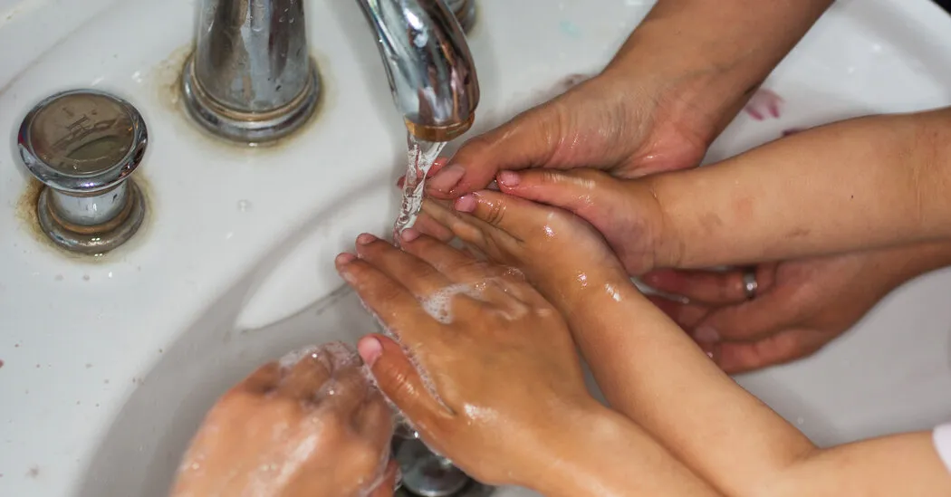 Opinion | A Practical Guide to the Modern Commune