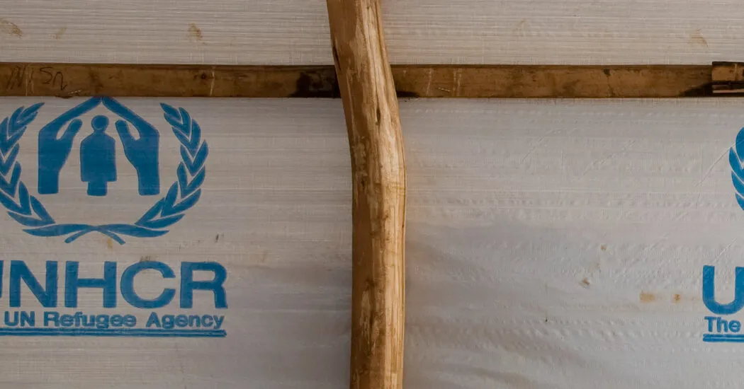 نظر | من یک دهه کمیساریای عالی پناهندگان سازمان ملل بودم. این همان بحرانی است که من می بینم.