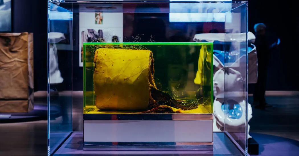 روشن کردن، تنظیم کردن... پلیس خارج شد؟ کنایه های «سوررئال دهه شصتی» در ویتنی.