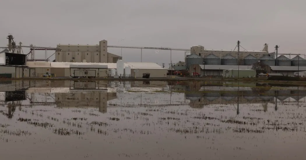 محافظه کاران کالیفرنیای شمالی از اینکه می توانند نماینده دموکرات بگیرند ناامید هستند