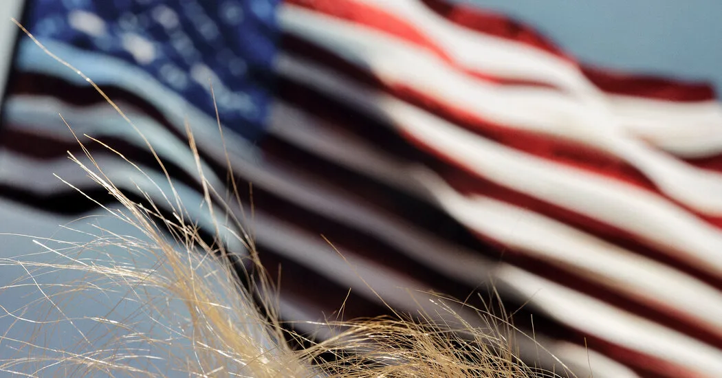 نظر | از اخبار ترامپ خسته شده اید؟ من اینجا برای تو هستم.