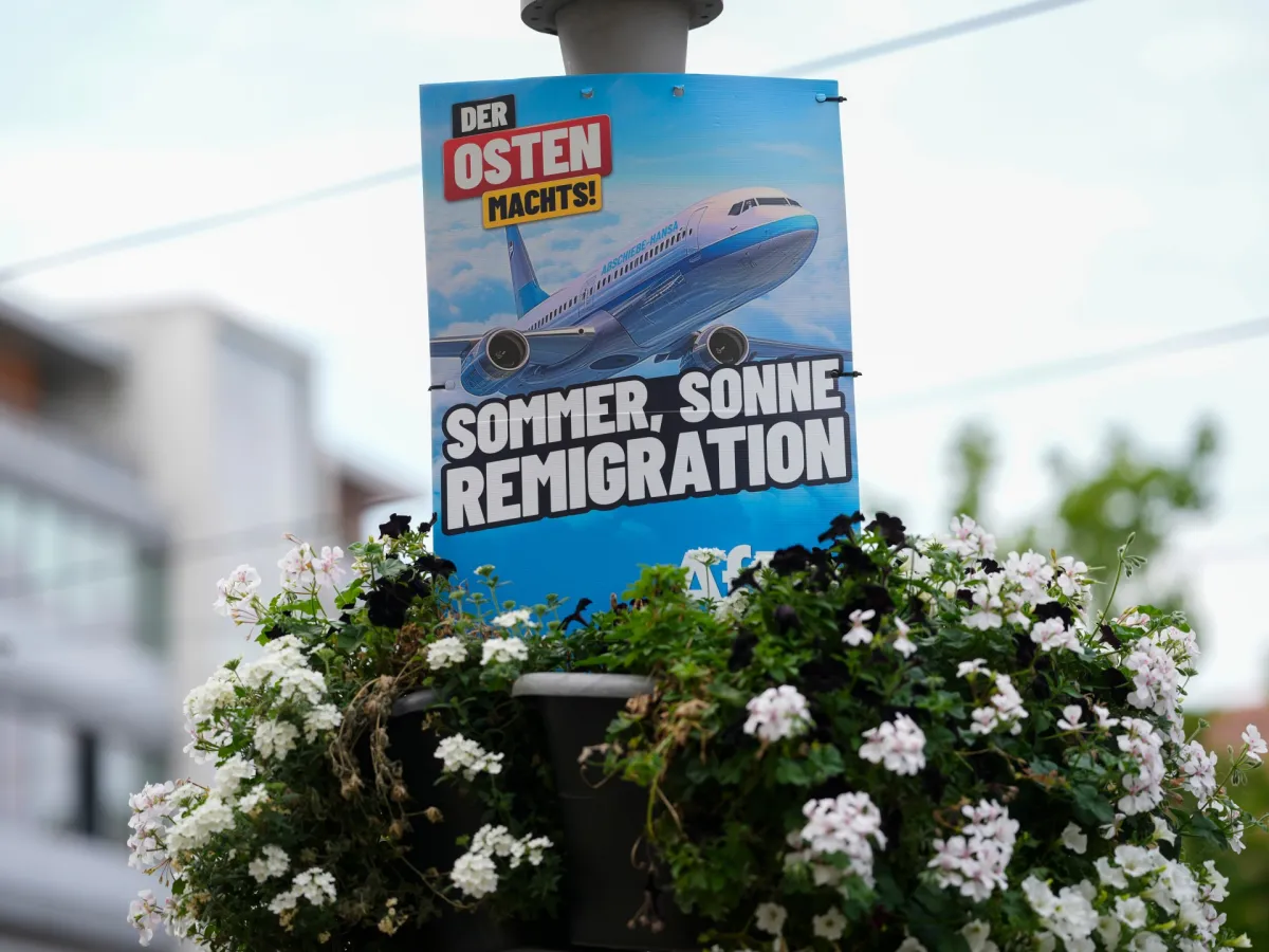 مهاجرت مجدد چیست، ایده جناح راست افراطی که در جریان اصلی است؟