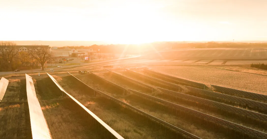 رأي | التي أحاول فيها ببسالة أن أبهجك