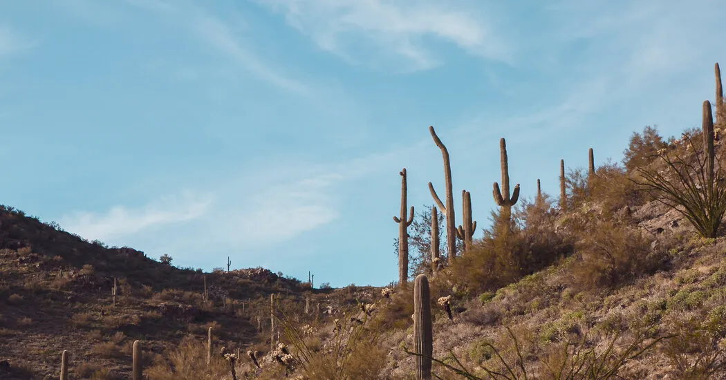 6 وجهات سفر شتوية لشهر يناير الجاف المليء بالحيوية