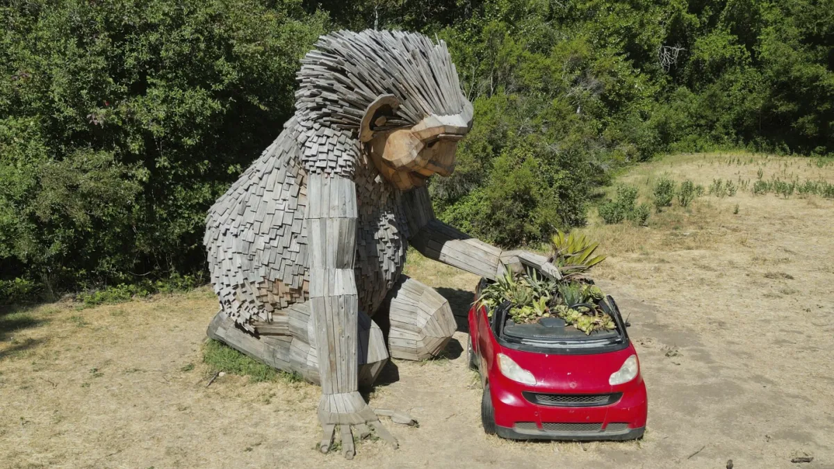 المتصيدون العملاقون لديهم رسالة للبشر حول حماية الكوكب