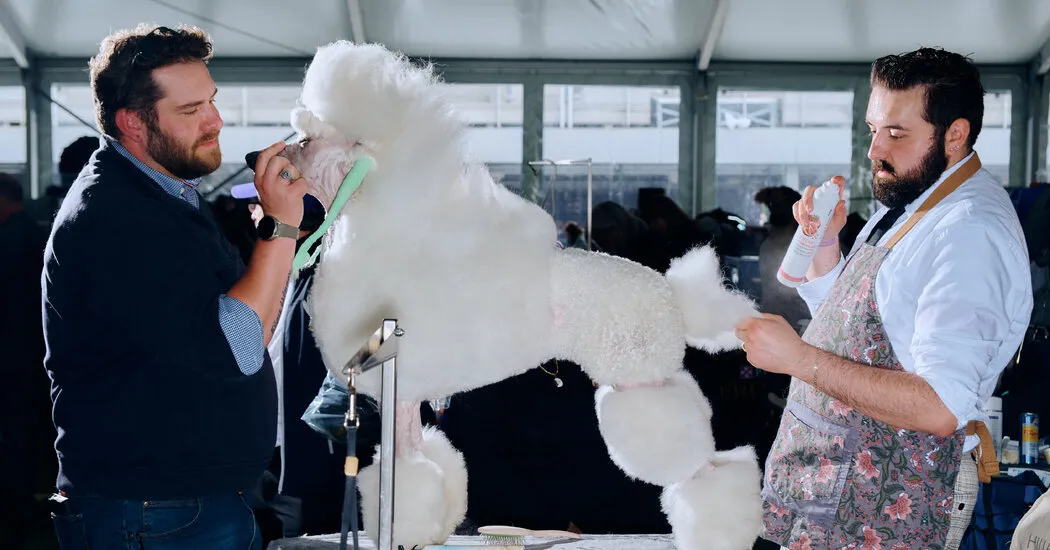 Pet Owners, How Do You Deal With the High Costs of Grooming?