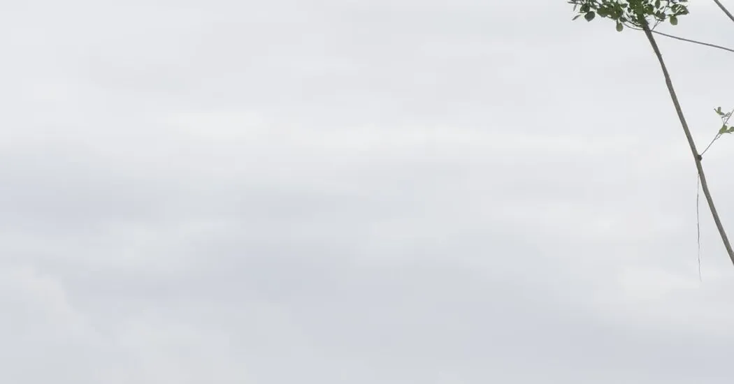 Slow Flood Recovery Stirs Anger in Far-Flung Corner of Indonesia