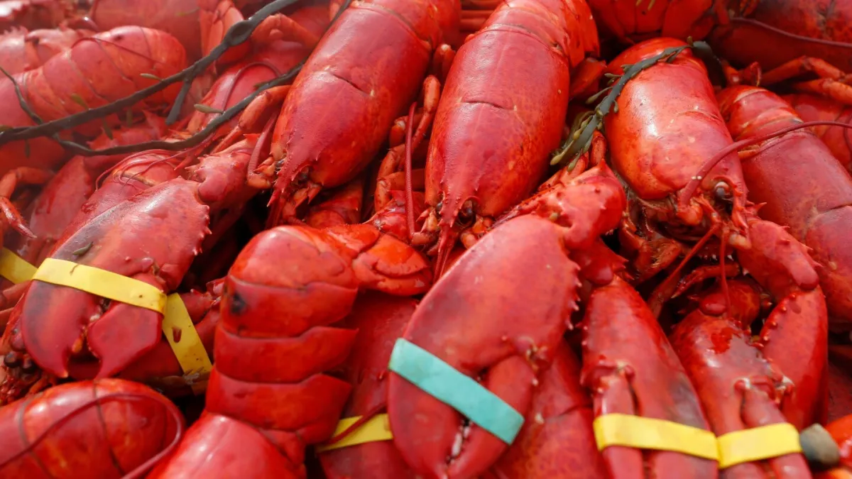 $400,000 worth of oysters, crab and lobster meat stolen in New England