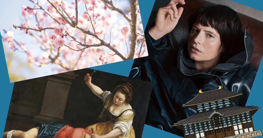 پرخواننده ترین ویژگی های هنری و فرهنگی مجله T از سال 2025