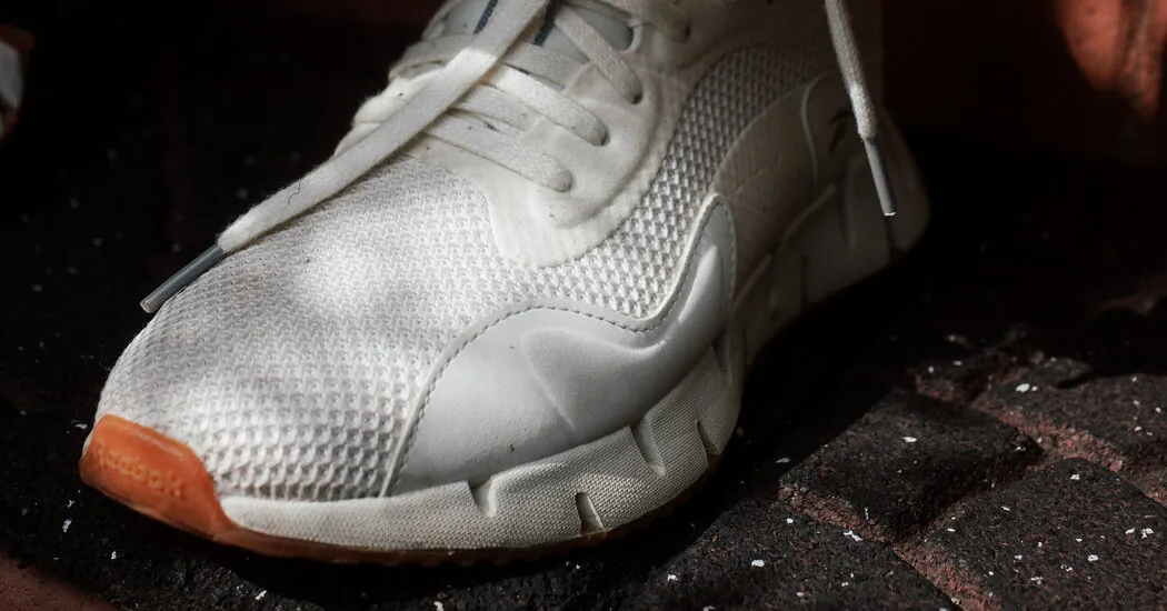 5 Workouts for Complete Beginners