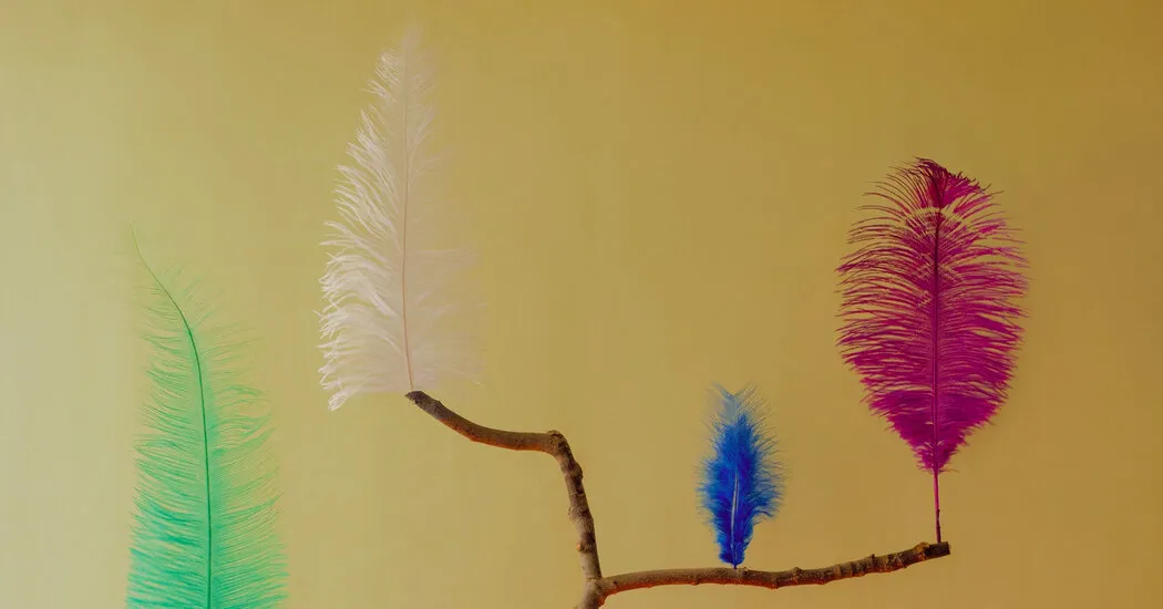 Opinion | Did I Try Hard Enough to Understand My Mother?