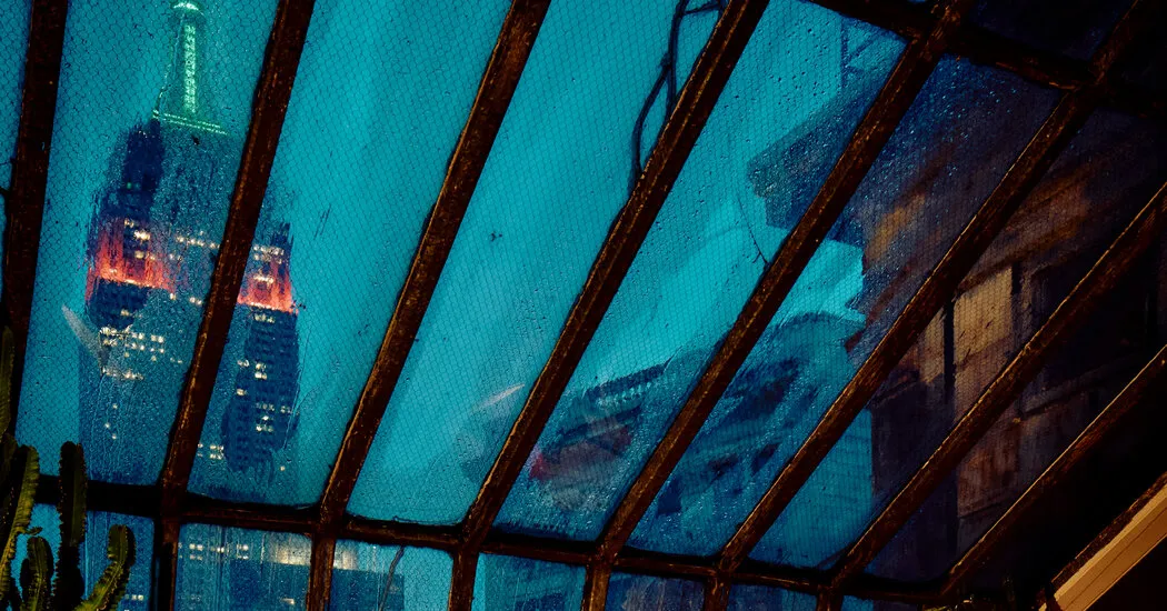 The City’s Most Impressive Skylights