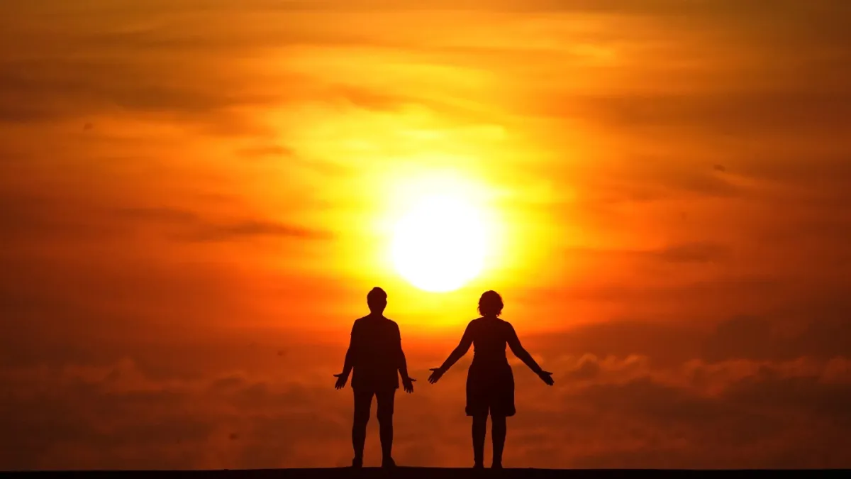 چرا سفارش دادن غذای بدون غذا یا تماس با سگ واکر ممکن است منجر به یک رابطه شادتر شود