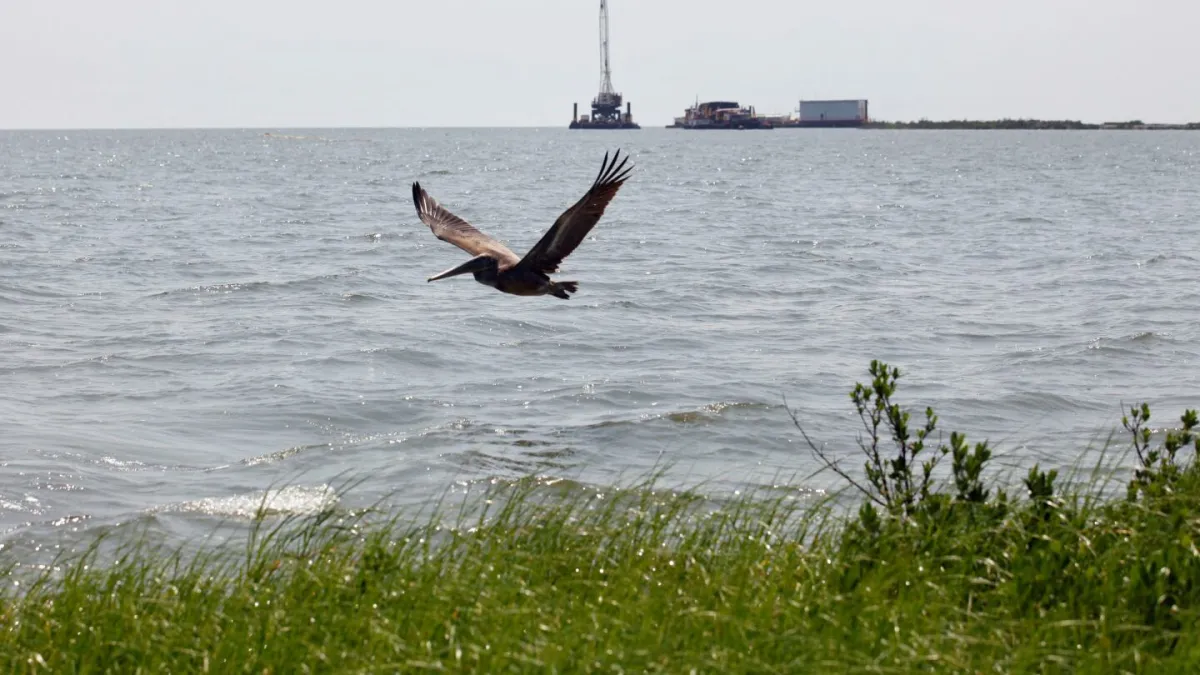 Record $9.6 million fine for Third Coast after substantial oil spill in the Gulf of Mexico