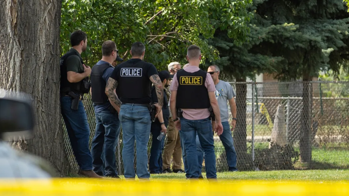 Driver shot in Minneapolis is at least the fifth person killed in US immigration crackdown