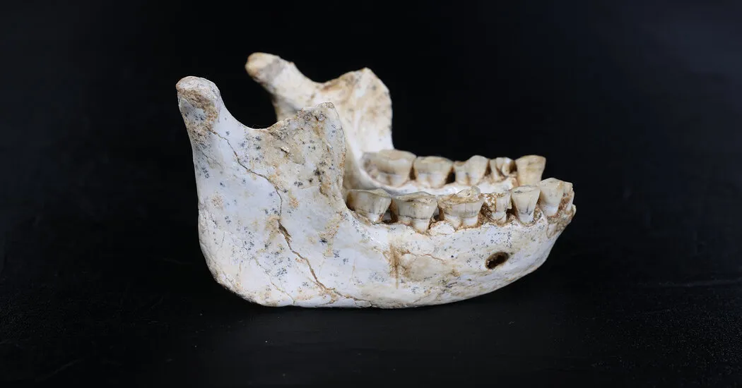 Moroccan Cave Fossils Yield a Possible Missing Link in Human Evolution