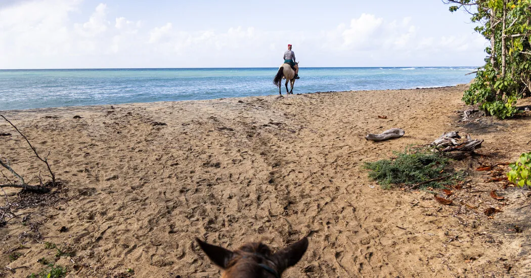 36 ساعة في جزيرة بيكيس، بورتوريكو: أشياء يجب القيام بها ومشاهدتها